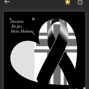 Meet your Posher, Gema rigo